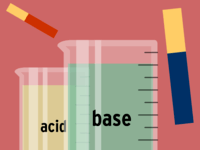 acid base reactions - Grade 8 - Quizizz