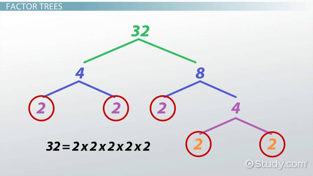 binomial theorem - Grade 5 - Quizizz