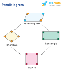 properties of parallelograms - Class 8 - Quizizz