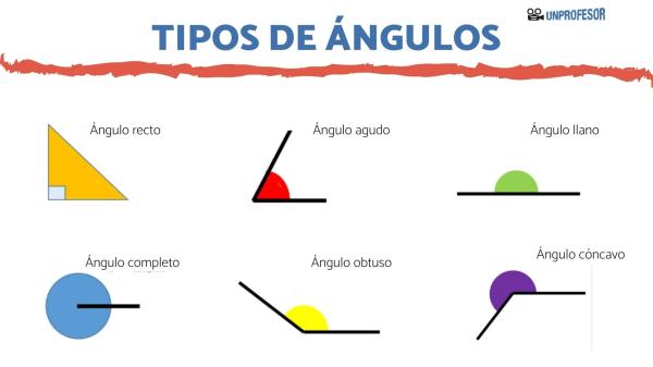 ángulos inscritos - Grado 12 - Quizizz