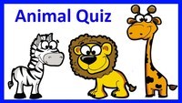 Animals - Grade 1 - Quizizz