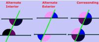 transversal of parallel lines - Grade 7 - Quizizz