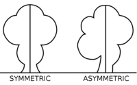 Symetria - Klasa 3 - Quiz