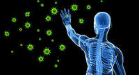 the immune system - Class 11 - Quizizz