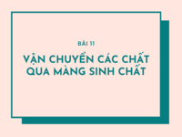 sự trao đổi chất - Lớp 10 - Quizizz