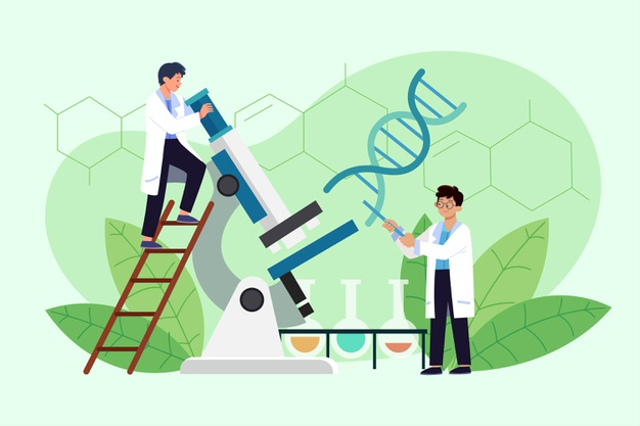 biologi perilaku - Kelas 12 - Kuis