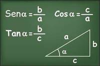 Relações Proporcionais - Série 11 - Questionário