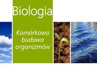 fotosynteza Fiszki - Quizizz