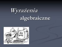 Dział - Klasa 7 - Quiz