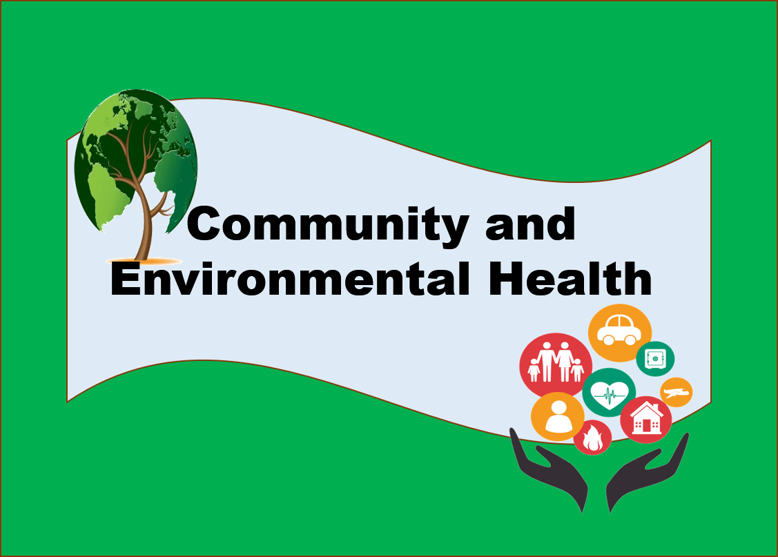 community and environmental health essay