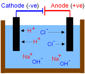 Electrolysis of Brine | 95 plays | Quizizz