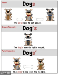 Apostrophes in Plural Possessive Nouns Flashcards - Quizizz