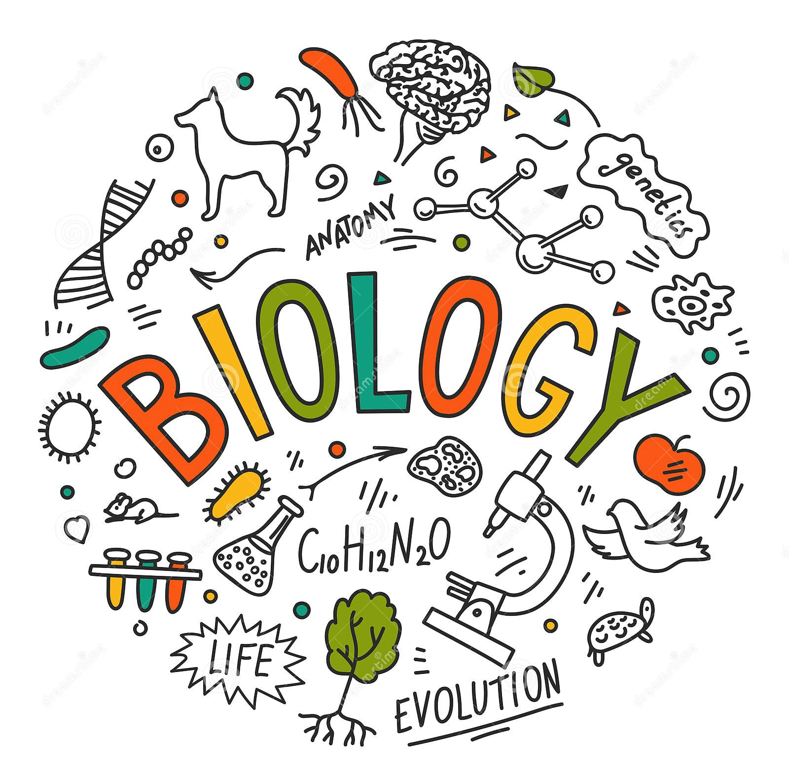 Biología del desarrollo - Grado 7 - Quizizz