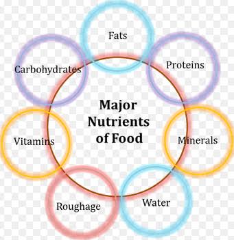 Components of food class VI