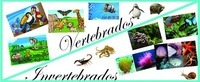 vertebrados e invertebrados - Grado 4 - Quizizz