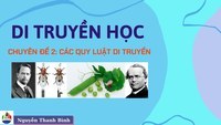 quy định gen Flashcards - Quizizz