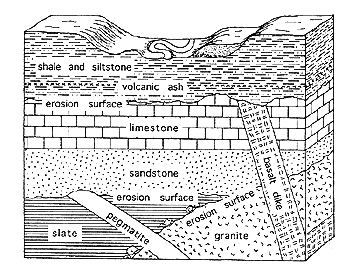 Stratigraphy Lesson 1 | Science - Quizizz