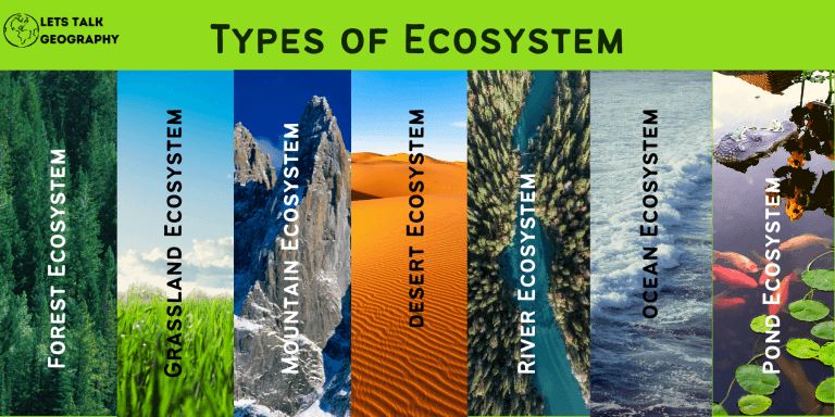 Types of ecosystems | Quizizz