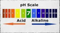 acid base reactions Flashcards - Quizizz