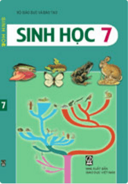 đa dạng sinh học và bảo tồn - Lớp 7 - Quizizz