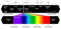 gelombang elektromagnetik dan interferensi - Kelas 12 - Kuis