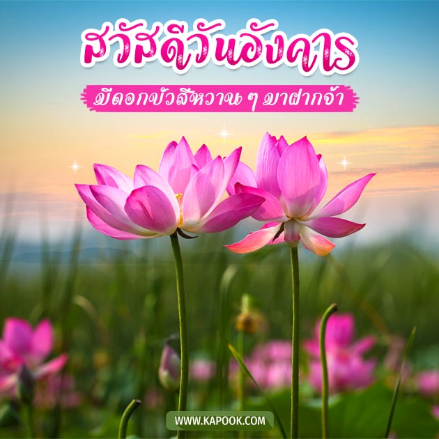 จิตวิทยา Flashcards - แบบทดสอบ