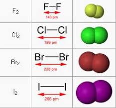 H10 Nhom Halogen Chemical Reactions Quiz Quizizz