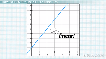 Linear Functions - Year 10 - Quizizz