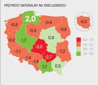 Posiadacze w liczbie mnogiej - Klasa 7 - Quiz