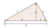 Convertir unidades métricas - Grado 9 - Quizizz