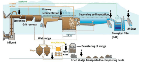 Wastewater treatment | 139 plays | Quizizz