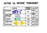 membranes and transport - Year 10 - Quizizz