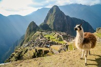 civilización inca - Grado 7 - Quizizz