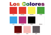 Colores - Grado 3 - Quizizz