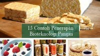 bioteknologi - Kelas 2 - Kuis