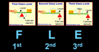 mesir kuno - Kelas 8 - Kuis