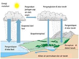 seleksi alam - Kelas 5 - Kuis