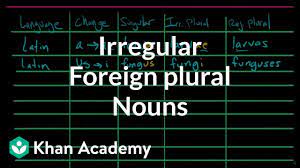 Irregular Plural Forms - Class 8 - Quizizz