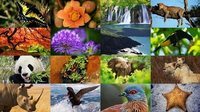 biodiversidad y conservación Tarjetas didácticas - Quizizz