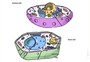 Plant and Animal Cell Organelles