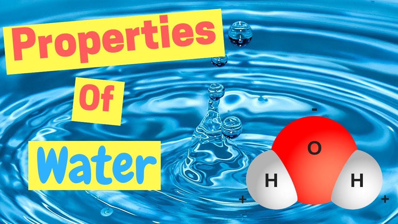 Water Properties