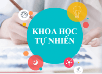 sơ đồ tế bào thực vật - Lớp 3 - Quizizz