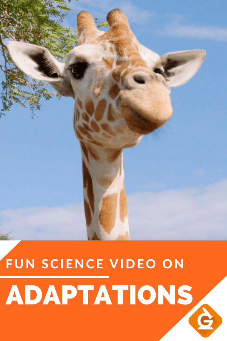 adaptations-generation-genius-science-quiz-quizizz