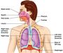 Respiration In Organisms