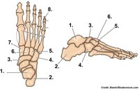 Đơn vị đo lường - Lớp 9 - Quizizz