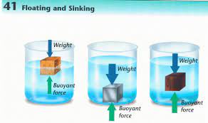 fluids - Year 9 - Quizizz