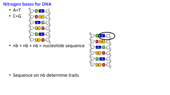 6B Genetic Code Common To All Organisms Quiz - Quizizz