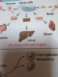 biotechnology - Class 10 - Quizizz