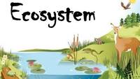 ecosystems - Year 11 - Quizizz