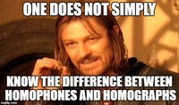 Homophones and Homographs - Grade 9 - Quizizz
